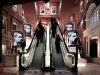 Harrods - Digital Signage Network