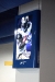 Ping-HD St. Louis Rams NFL Stadium